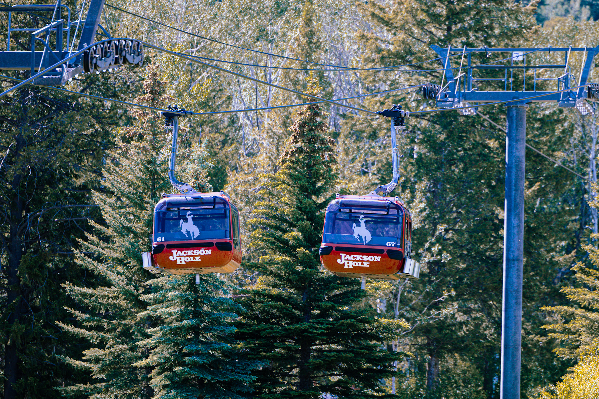 Panoramic views from the Jackson Hole Aerial Tram summit
