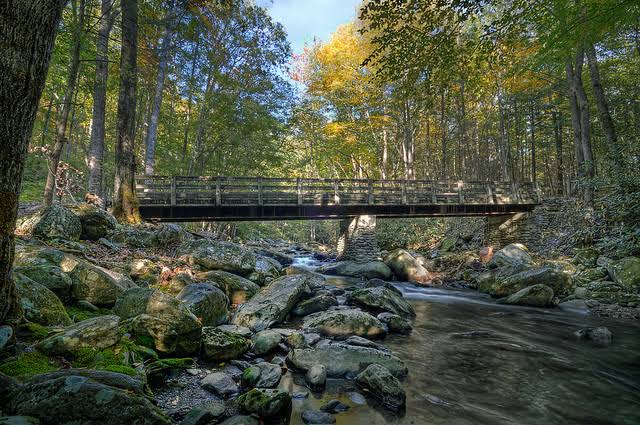 Footbridge over a rocky creek at Greenbrier, Great Smoky Mountains