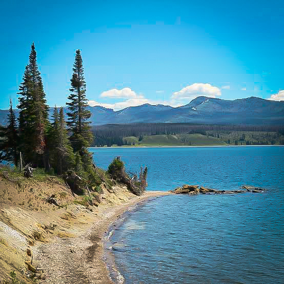 Yellowstone Lake shoreline along the Storm Point Trail