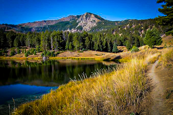 Beaver Ponds Loop Trail meadow near Mammoth Hot Springs