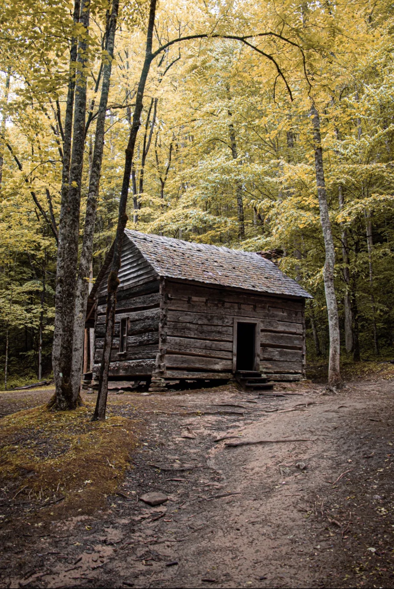 Historic log cabin along the Roaring Fork Motor Nature Trail in Great Smoky Mountains National Park