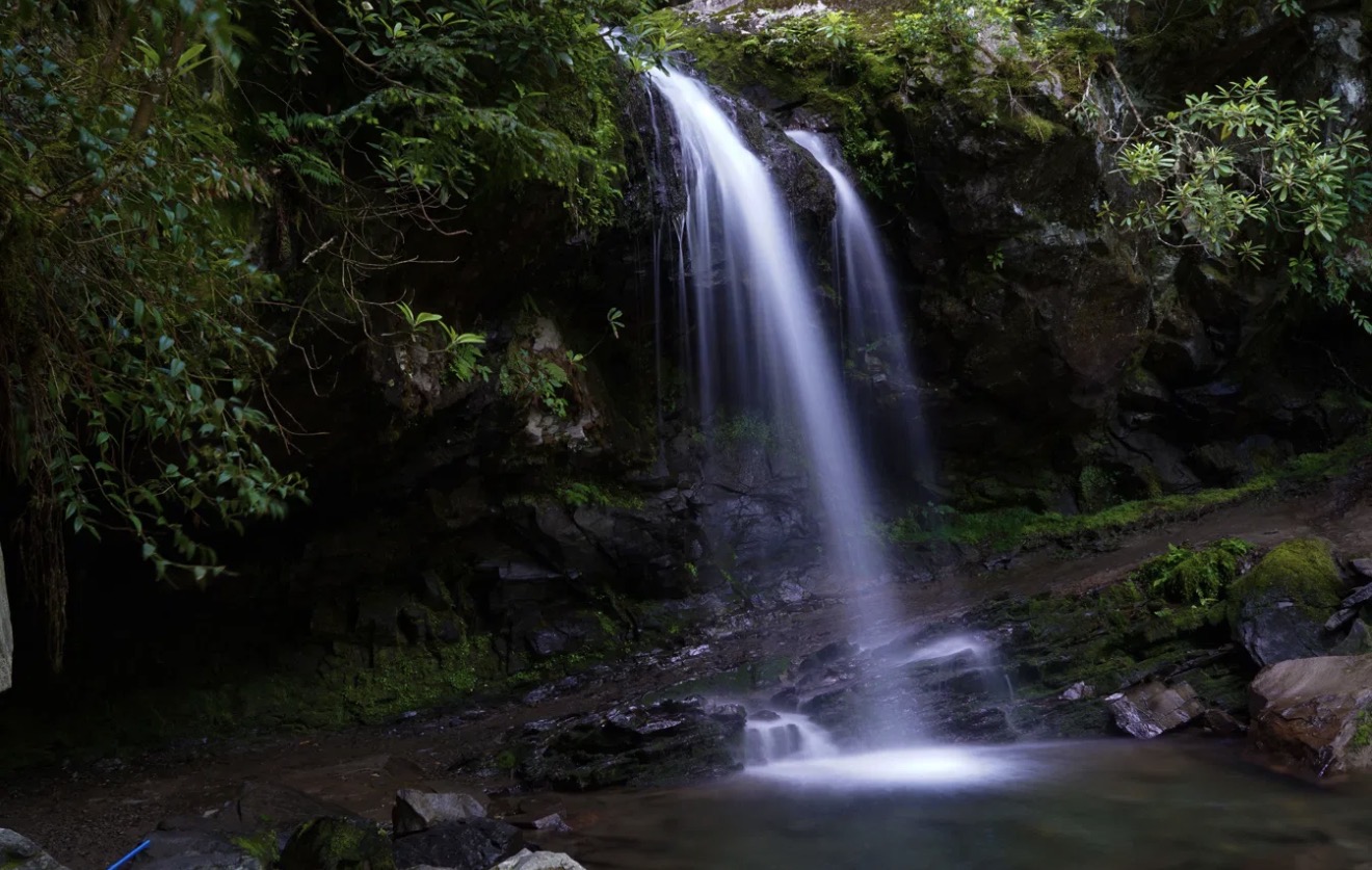 Grotto Falls in Great Smoky Mountains National Park - the only waterfall in the park you can walk behind