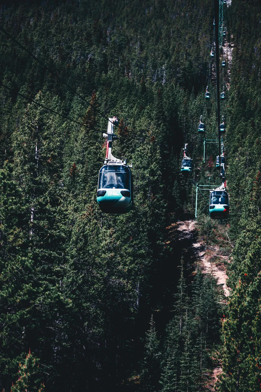 Banff Gondola cabins ascending Sulphur Mountain through pine forest in Banff National Park