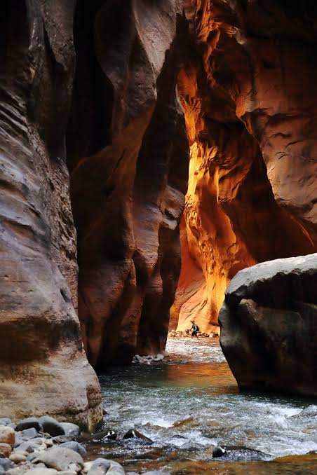 Hiker wading through the glowing slot canyon of The Narrows in Zion National Park