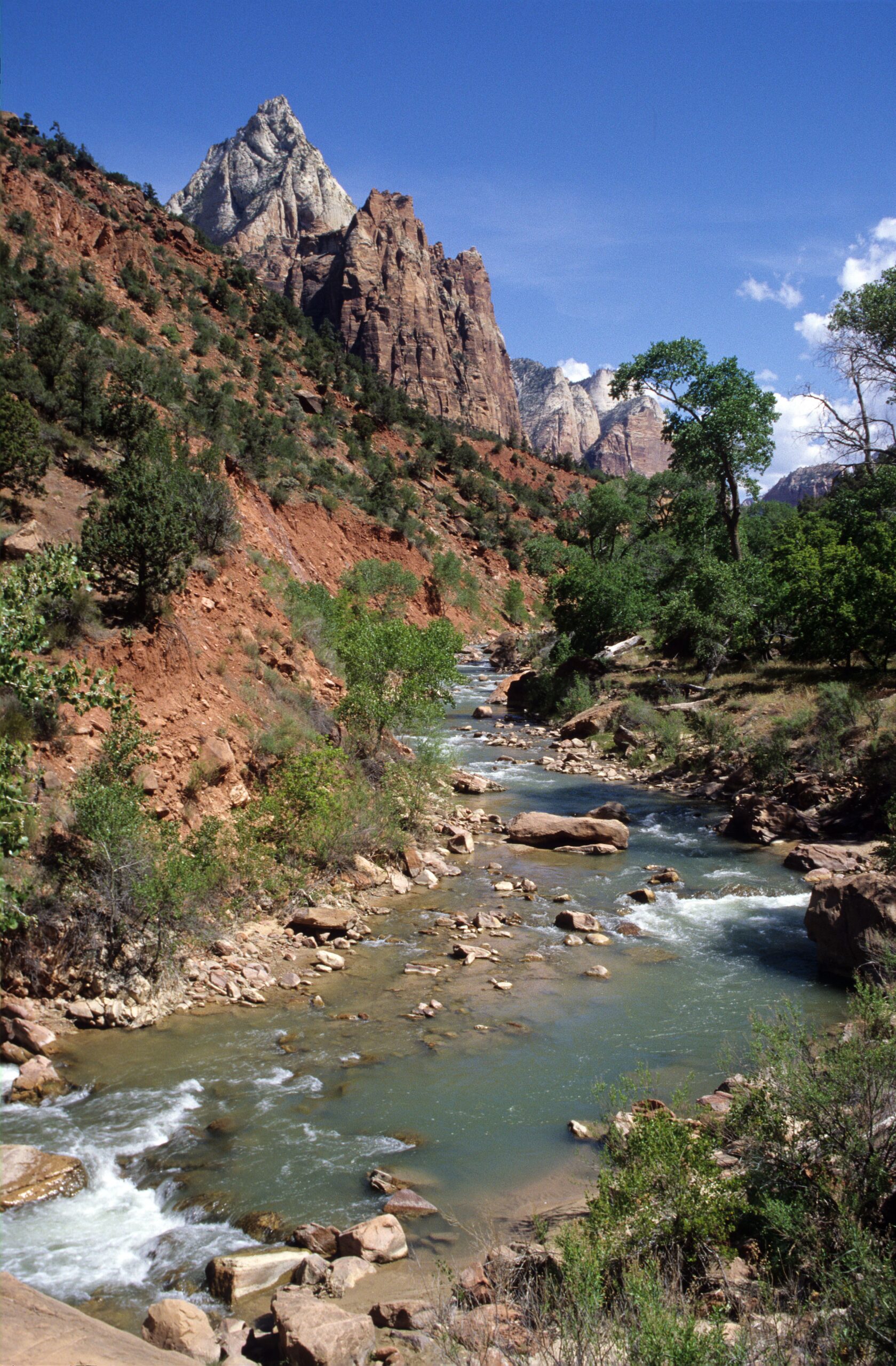 The Virgin River winding through Zion Canyon toward The Narrows