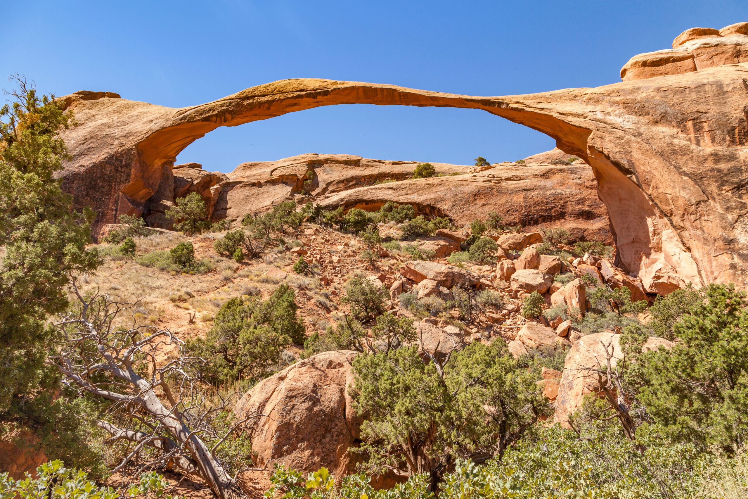 Landscape Arch in Devils Garden, Arches National Park