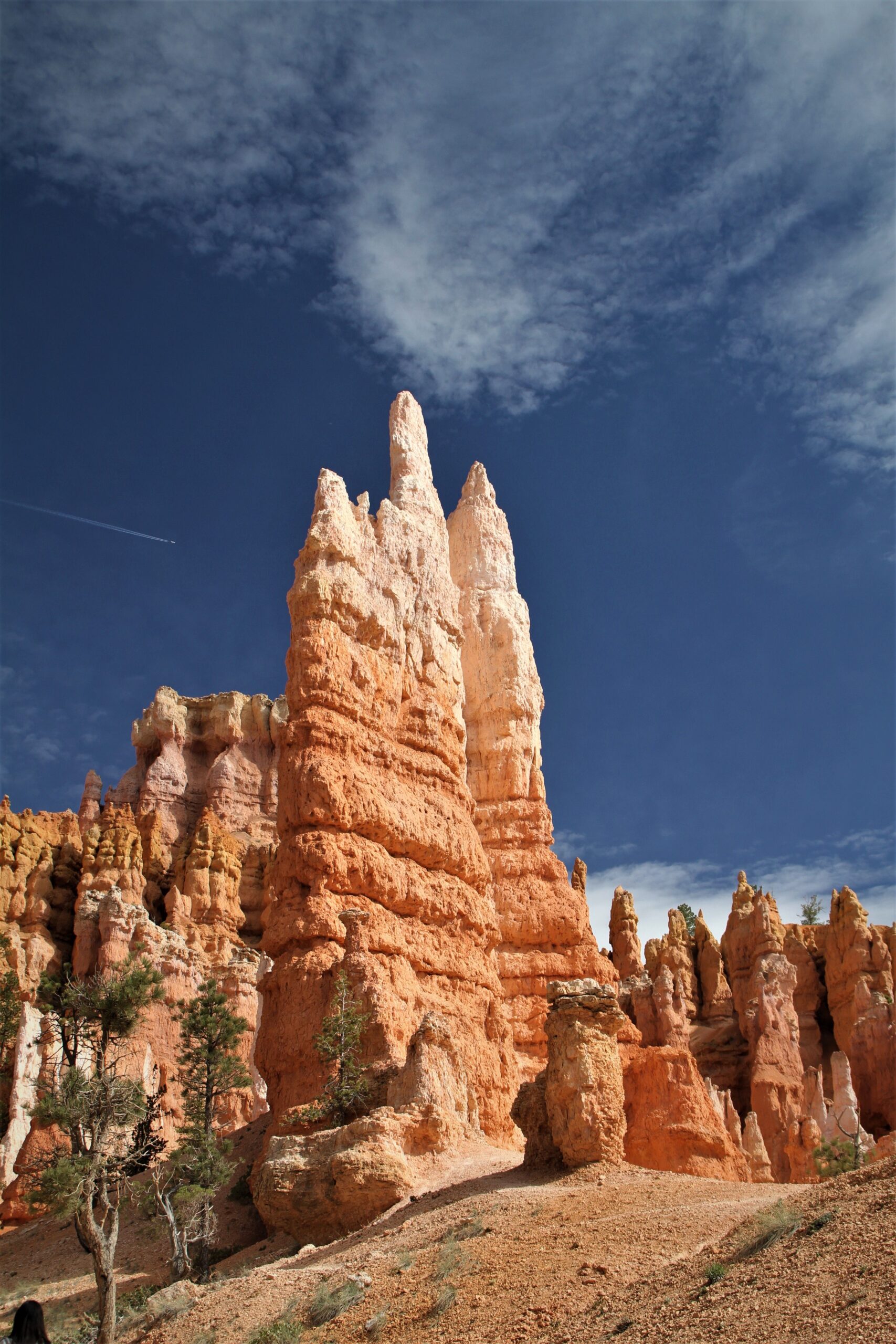 Hoodoos rising overhead from inside the Bryce Amphitheater