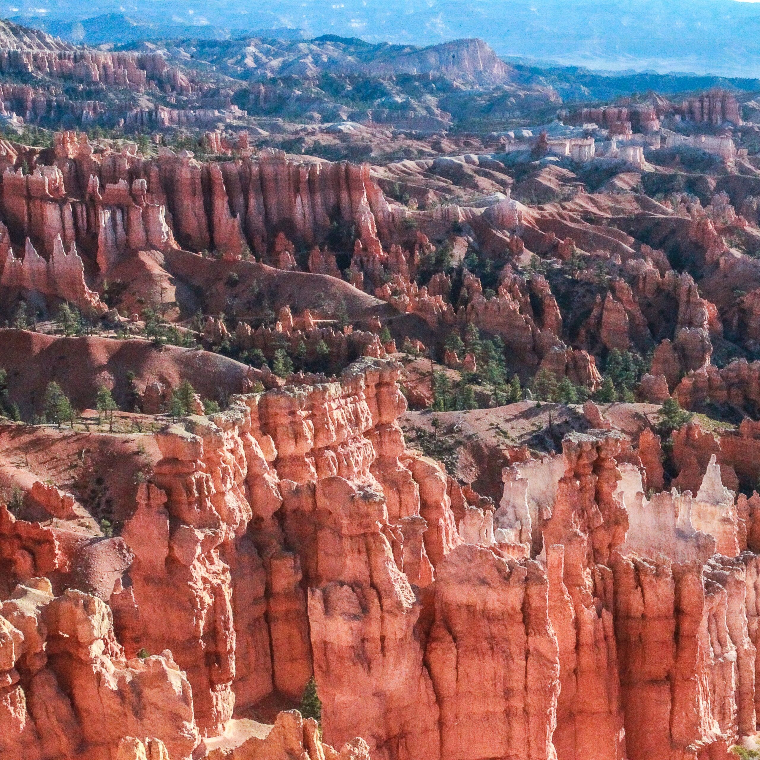 Hoodoos and forested slopes in Bryce Canyon National Park