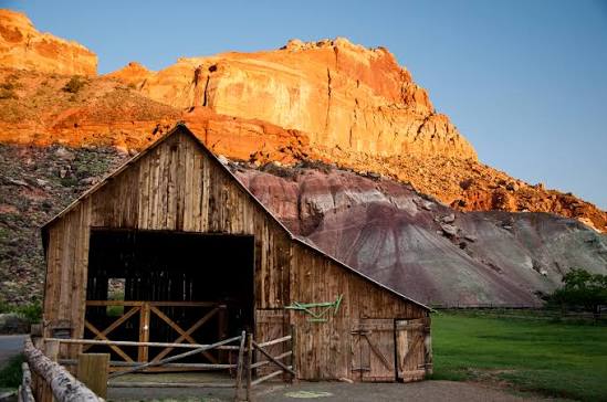 The Fruita orchards and historic district in Capitol Reef
