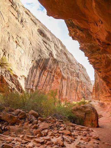 The narrows of Grand Wash in Capitol Reef National Park