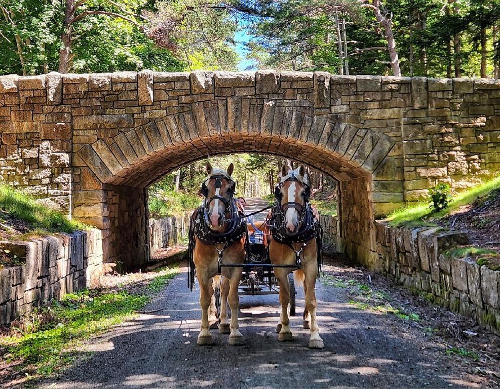 A stone bridge on the Acadia carriage roads in autumn